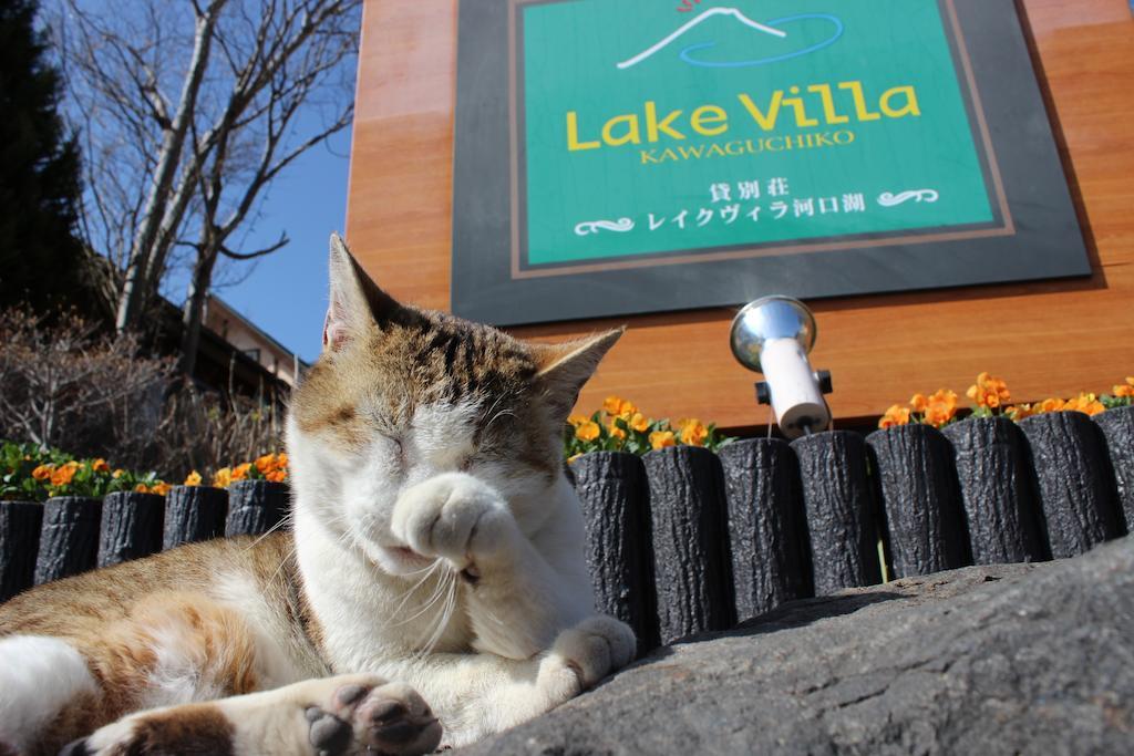 Lake Villa 河口湖 富士河口湖 外观 照片