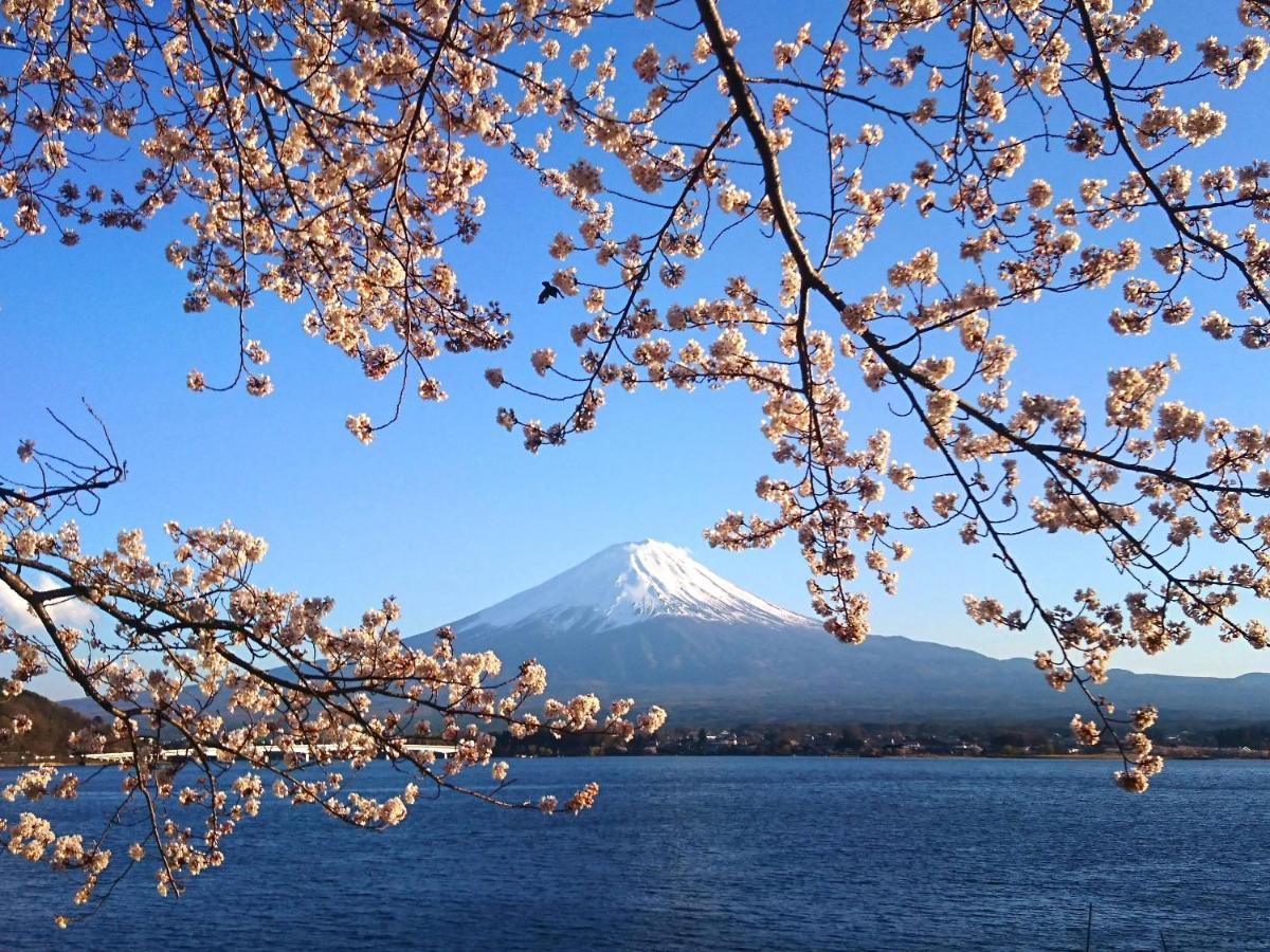 Lake Villa 河口湖 富士河口湖 外观 照片
