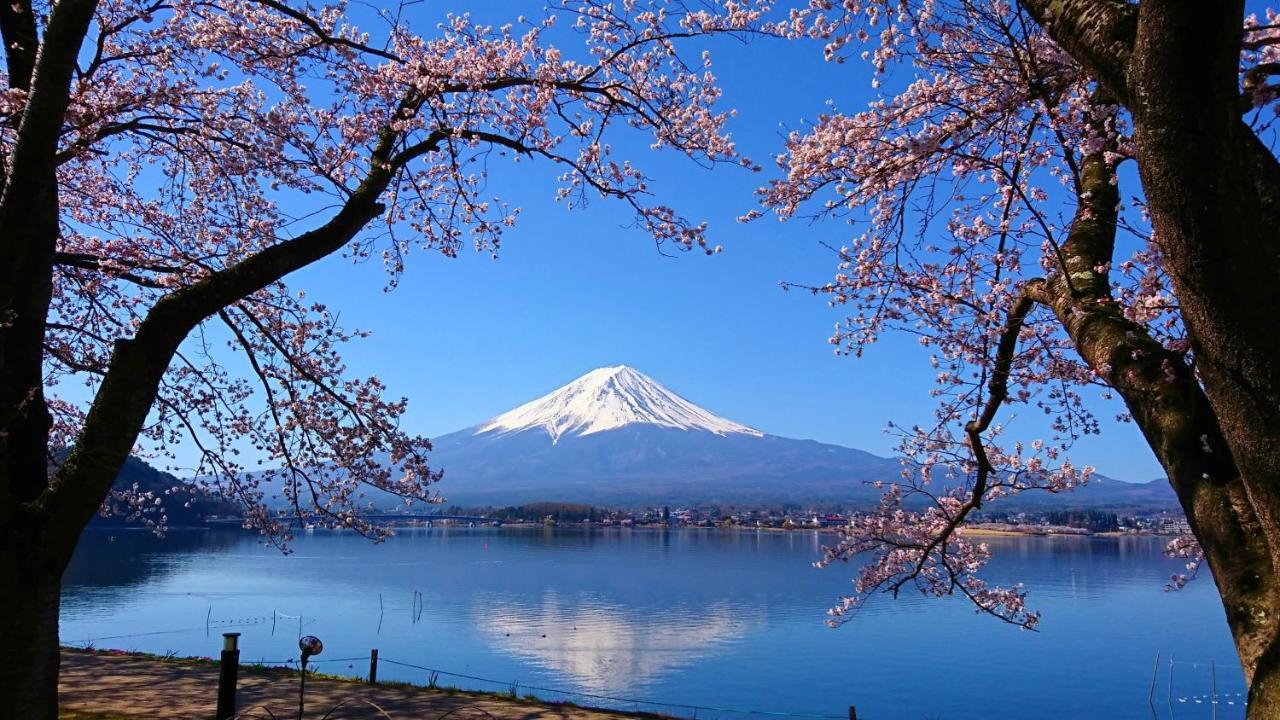 Lake Villa 河口湖 富士河口湖 外观 照片