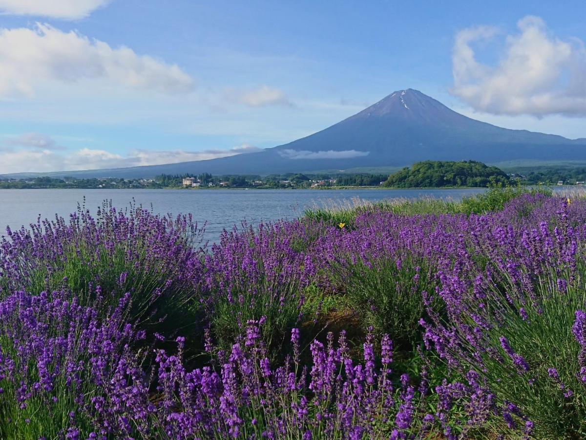 Lake Villa 河口湖 富士河口湖 外观 照片